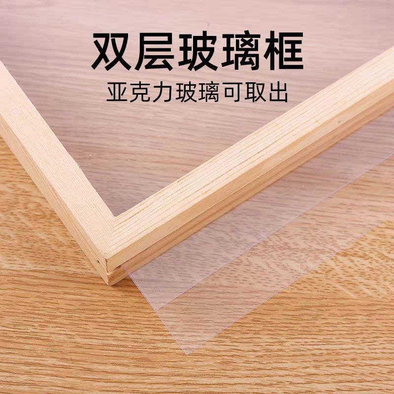 双层透明压花相框手工diy材料干花标本摆件画框桌面儿童沙龙活动,家居饰品,干花/花瓣/干花包/干树枝,淘宝优惠券,粉丝福利购,淘宝优惠卷