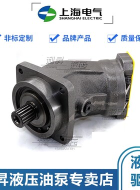 上海电气斜轴柱塞马达泵A2FE56/63/80/90/107/125W6.1VZL10PT2017