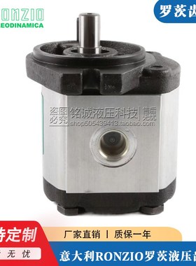 罗茨RONZIO齿轮泵02ZAG06/04/08/11/14/17/20/25/31E034S-0B油泵