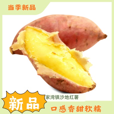 2025年10上市绥德县崔家湾镇红薯新鲜农家自种地瓜板栗薯沙地蜜薯
