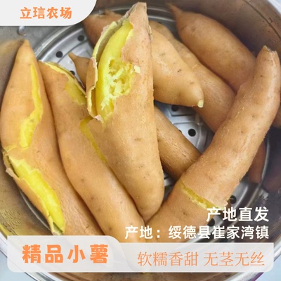 新鲜出土红薯崔家湾镇农产品