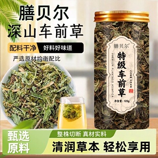 膳贝尔车前草泡茶泡水喝车前草干货袋泡茶车前草茶包代用茶