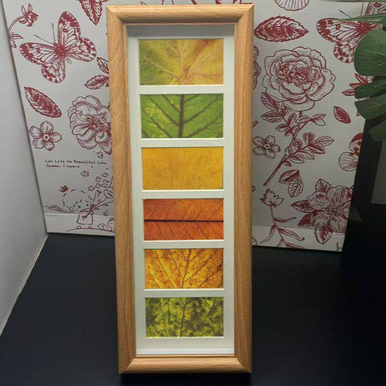 落叶树叶标本六联相框手工diy秋天叶子收集画框装饰画桌面摆件