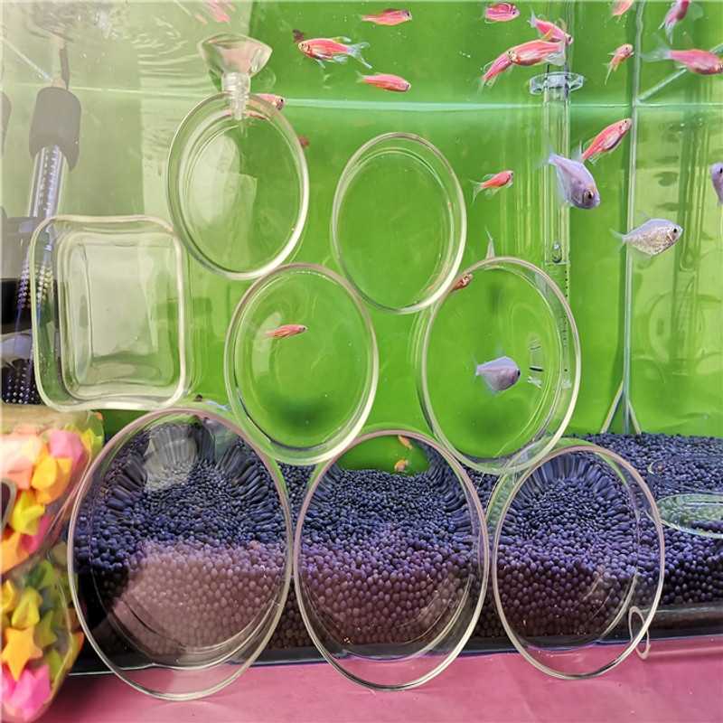 水族玻璃喂食盆爬宠喂食盘观赏虾空中虾盆虾碗鱼虾投食盆