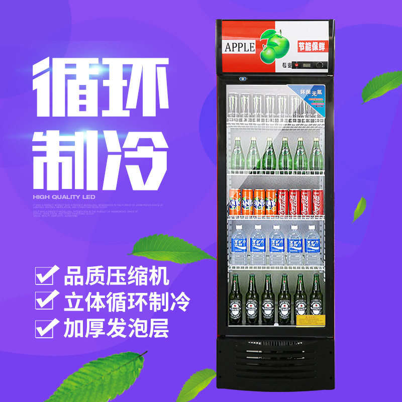 单门立式商用冷藏啤酒展示柜