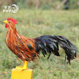 羽毛大公鸡家禽摆件动物家居摄影道具老母鸡勺鸡火鸡装饰模型