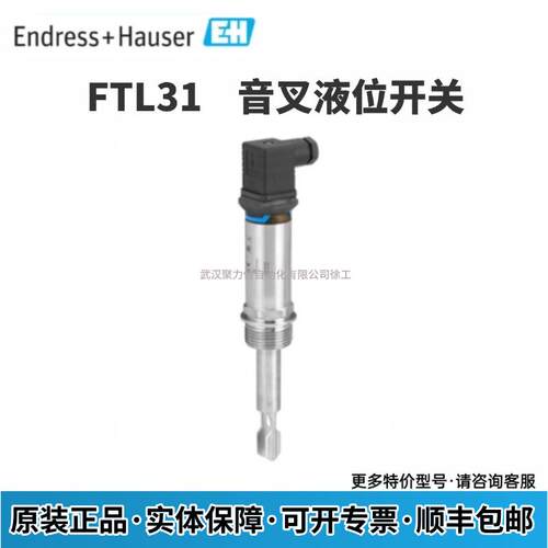 FTL31-14X8/0 FTL31-AA4U2AAW5J 德国E+H 音叉液位开关 现货