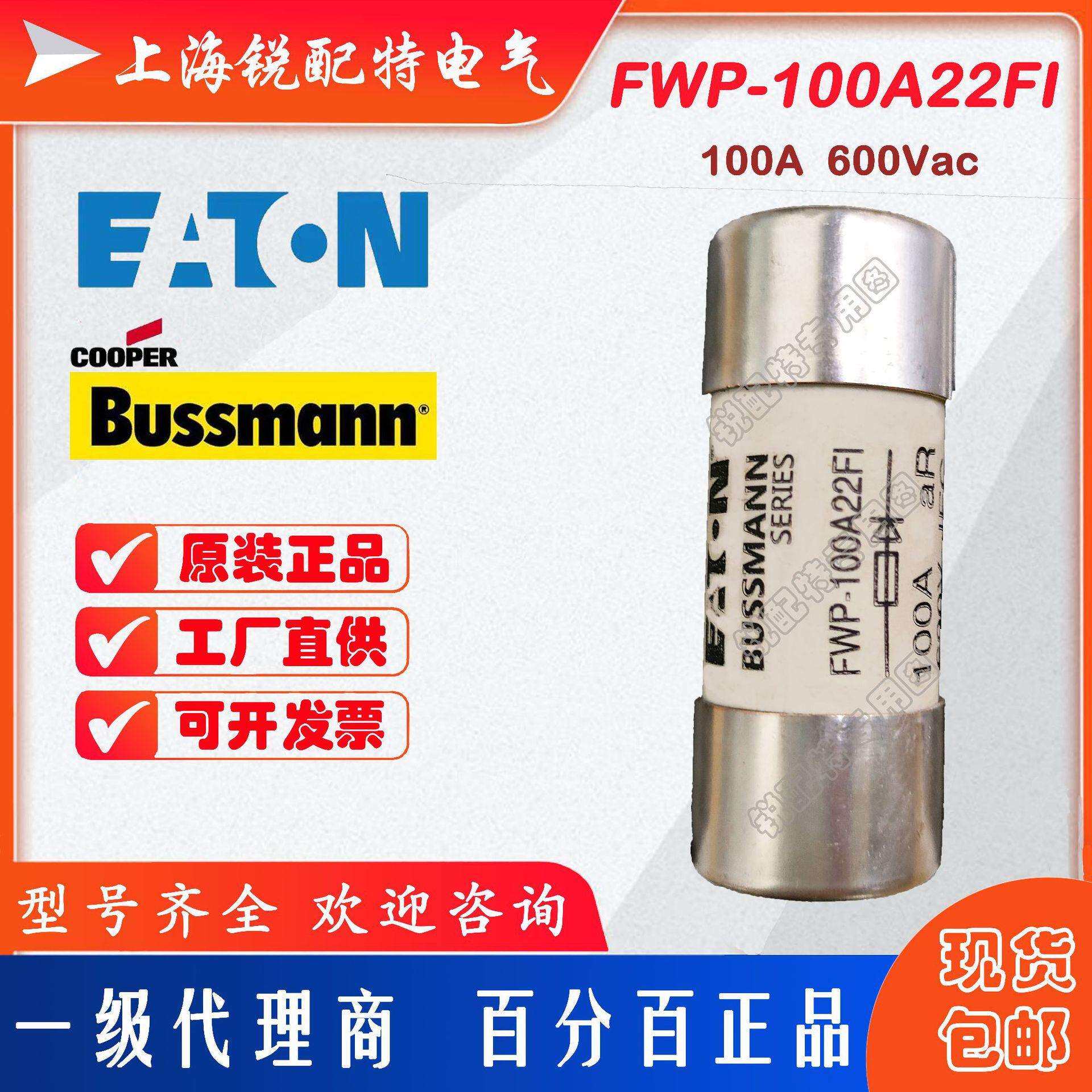 FWP-100A22FI 陶瓷管保险丝 600V 100A 22x58 巴斯曼BUSSMANN熔断