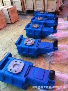 变速泵 现货供应徐工50 载机齿轮泵 300F装 双联泵 500F