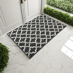 丙纶纱线高低圈工艺机织地毯地垫进门厨房入户脚垫TPE厨房玄关