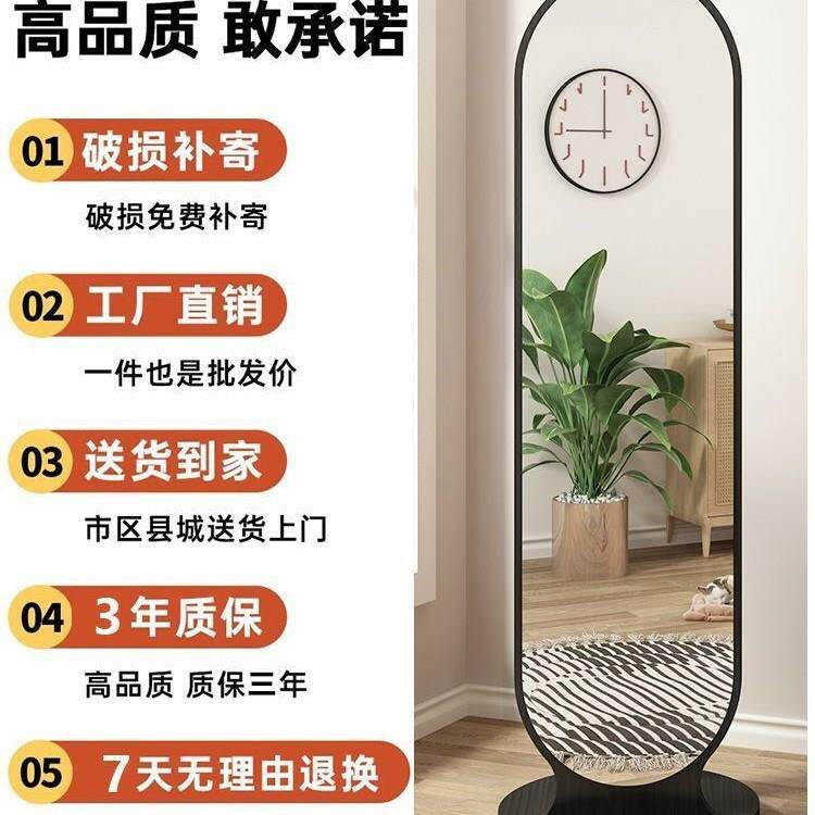 宫廷风家用全身镜落地镜卧室门后旋转穿衣镜挂衣架一体大试衣镜子