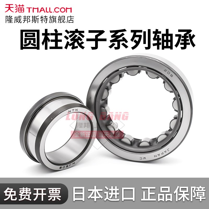 NTN轴承NU202 203 204 205 206 207 208 209 210EM EW