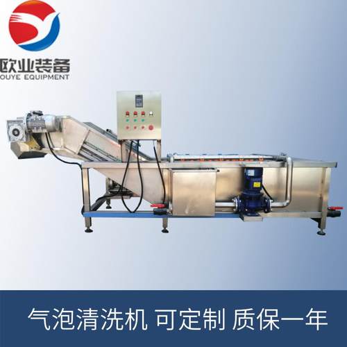 叶菜蔬菜气浪清洗机 气泡式果蔬清洗机蔬菜清洗加工流水线设备