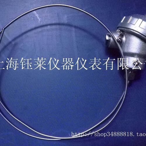 仿日式铠装热电偶,分度号K,3X1000mm,可弯曲