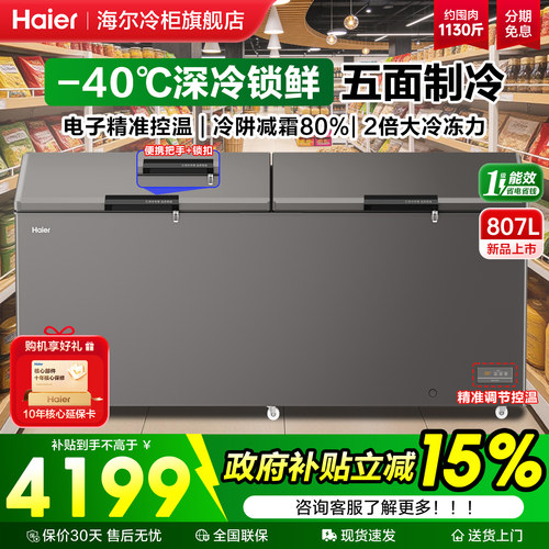 海尔冰柜商用大容量减霜一级家用