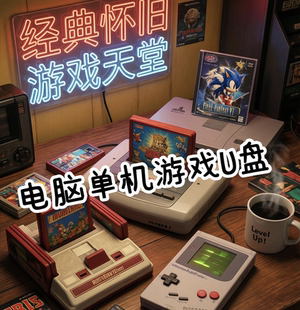 电脑单机游戏U盘怀旧经典U盘即插即用无需网络解压即玩列表自选