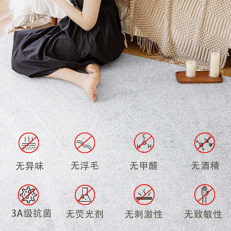 现代简约地毯客厅2025新款可擦免洗床边家用沙发毯垫毯地卧室茶几