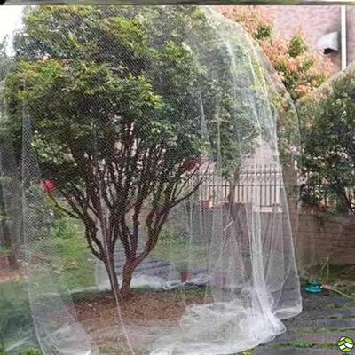 大棚葡萄桃树防鸟网天网果树防鸟用网尼龙樱桃网网套袋网纱网袋