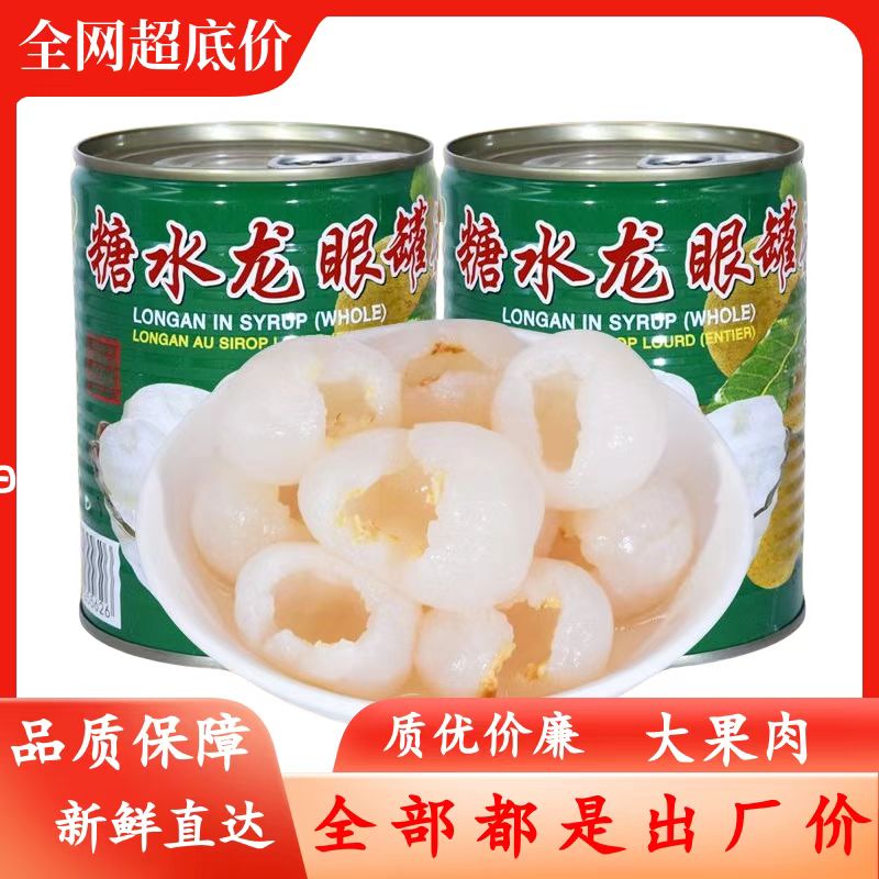 新鲜桂圆肉龙眼罐头水果即食果肉大罐567g罐高品质商用
