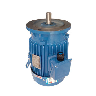 三相异步电动马刹车马达0.75KW东元 法兰按装 东莞出货 铸铁立式 东元