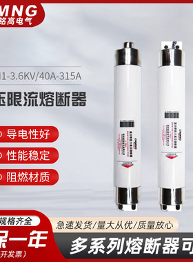 铭高电气高压高分段能力限流熔断器XRNM1-3.6KV/40A-315A厂家直销