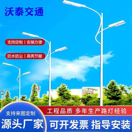 LED路灯单双臂681012米路灯高低臂双头路灯单臂单头路灯