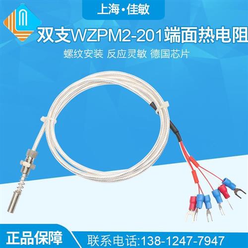 上海自动化仪表三厂端面热电阻WZPM-201PT100双支六线WZPM2-201