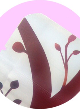 1斤装加厚白色牛皮纸红枣夹核桃仁包装袋 500g装自封口袋