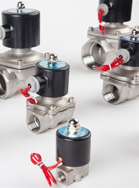 2S常闭不锈钢耐腐蚀电磁开关阀水阀气阀DN08 4分6分1寸220V24V12V