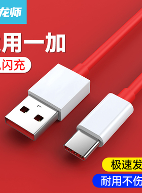 驯龙师 适用于一加65w超级快充线9Pro数据线7T闪充冲电8T充电器线加长2米warp手机平板usb转type-C车载通用