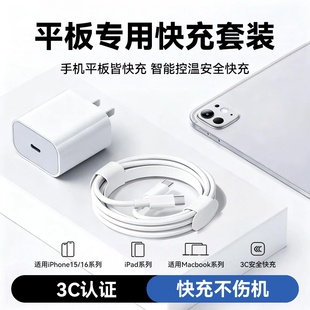 驯龙师 适用苹果iPad平板充电线iPadpro数据线9/8/10代air2/3/5器mini6/4双头typec快充套装手机电脑通用tpc