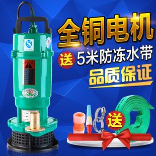 1寸220V单相家用农用灌溉370W750W潜水泵抽水机Z抽水泵全铜