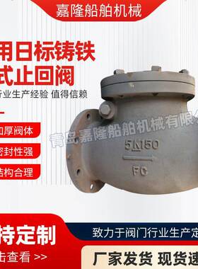 船用日标铸铁摆式止回阀F73725K50---5K150751421751422