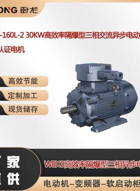 WEX3-160L-230W高效率隔爆型三相交流异步电动机ATEX认证电机