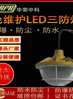 led三防灯 厂房灯50W仓库车间防爆灯天高棚灯100w厂房照明灯工矿