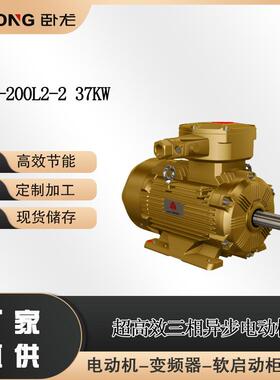 WE3-200L2-237W低压高效IE4IE3粉尘防爆三相异步电动机