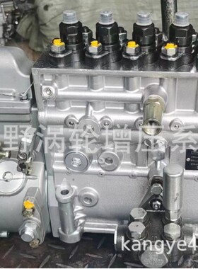 喷油泵CB6H954 HG1242089025和CB6P810S 1015572505