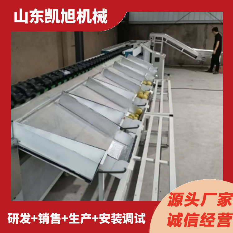 果蔬全自动选果机 动态称重水果智能分选机 霉心表皮检测筛果机图片
