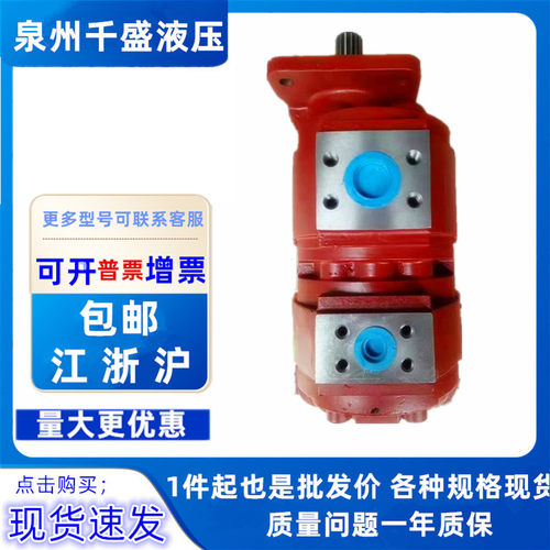 中联浦沅吊车液压双联齿轮泵1010000245济南液压泵厂CBZ系列泉城