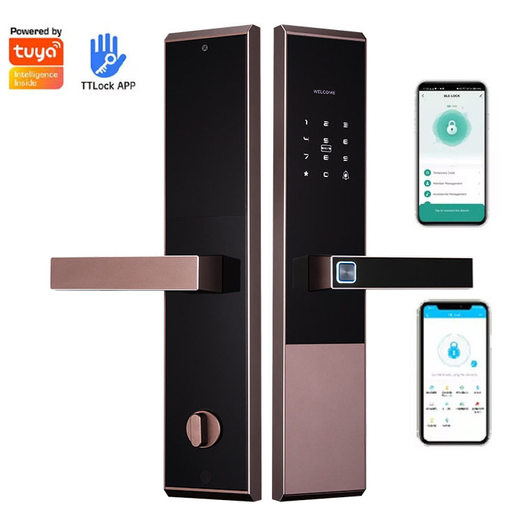 精雕指纹锁一握开半自动智能锁家用防盗门民宿公寓通用锁厂家直销
