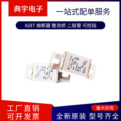 熔断器170M1461 1462 1463 1464 1465 1466  1467  1468型号齐全