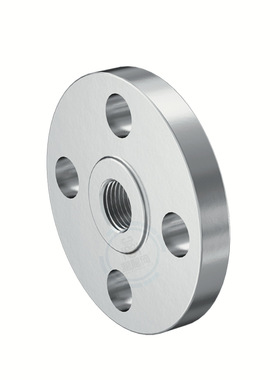 NPT 低压Alloy 20不锈钢锻造法兰 112P271