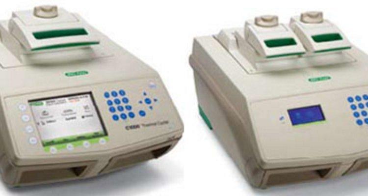 伯乐 BIO-RAD S1000梯度PCR仪96孔现货