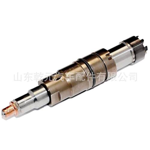 喷油器总成2419680DC09DC13喷油器