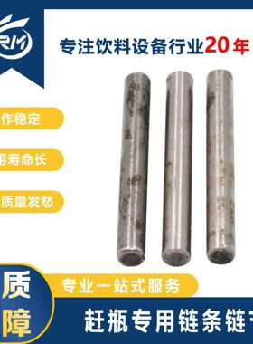 赶瓶专用链条链节/MB45.06-22C