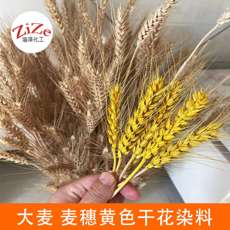 大麦芦苇狗尾巴草干花水性染料染花兔尾草麦穗手工大麦染色剂染料