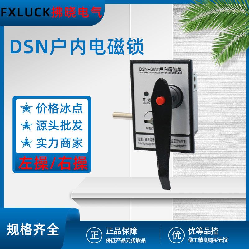 户内电磁锁DSN-A(B/D)MZ/Y交直流I/Y高压手柄式充气开关柜门反向
