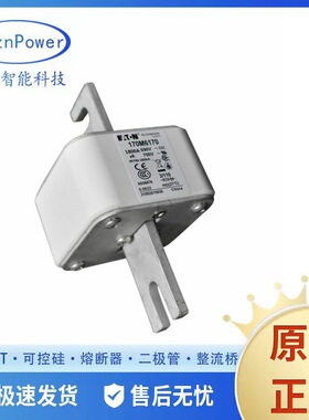 全新熔断器/保险丝170M6019 170M6069 170M6169 170M6219工业