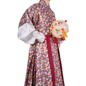 惜物国风 外搭 搭护披风长衫 明制汉服织金叠云纹明初窄袖 打褶半袖