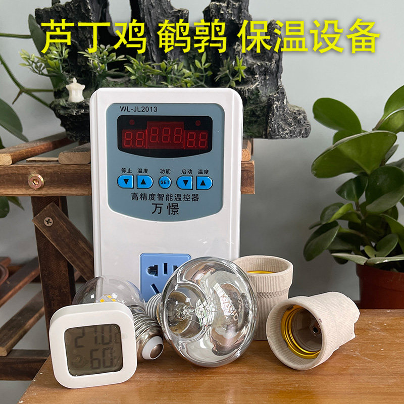 芦丁鸡鹌鹑宠物夜间照明灯冬天保温灯箱取暖灯小鸡育雏智能温控器,畜牧/养殖物资,养殖保温灯,淘宝优惠券,粉丝福利购,淘宝优惠卷